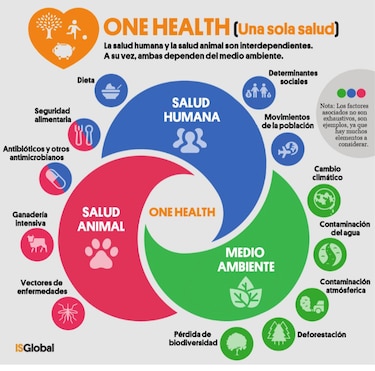Nuestro ambiente, nuestra salud: un vínculo inquebrantable