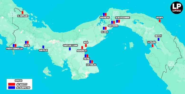 El ‘aedes aegypti’ crea resistencia a insecticidas en Panamá: Instituto Gorgas