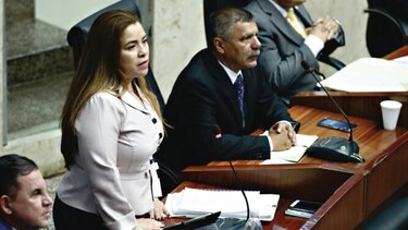 Tribunal Electoral necesitará más fondos si se aprueba ley que identifica ‘bebés fallecidos en vientre’