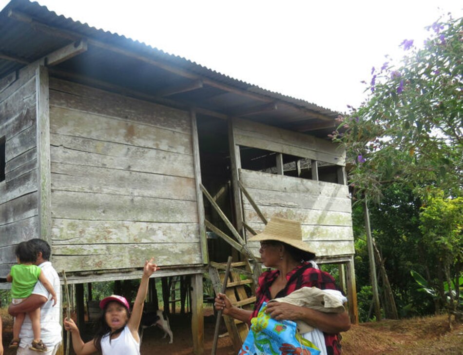 Muere niño de dos años en Colón picado por un alacrán