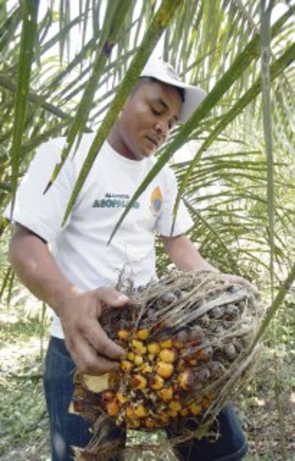 Odin Energy controla ahora a Amiworld