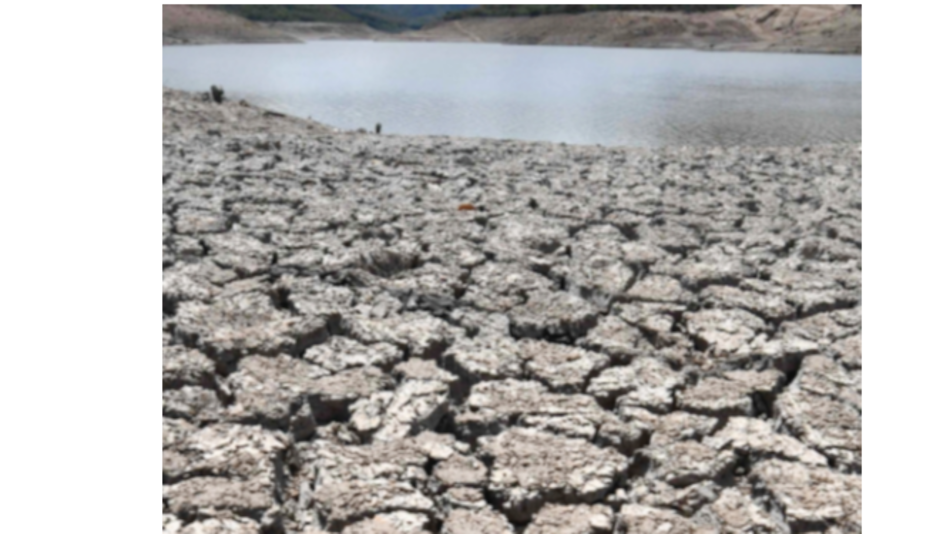 Ejecutivo declara emergencia en Honduras por sequía