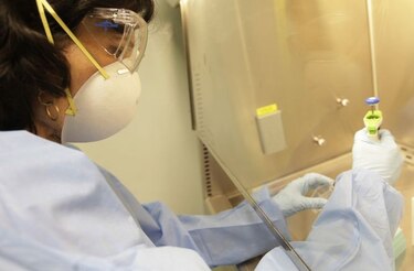 Es la hora de la ciencia