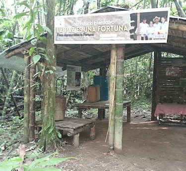 La historia de la finca agroturística La Fortuna: resiliencia y transformación familiar en el Putumayo, Colombia