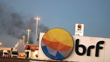 Detectan salmonela en planta brasileña