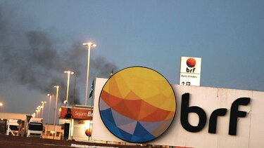 Detectan salmonela en planta brasileña