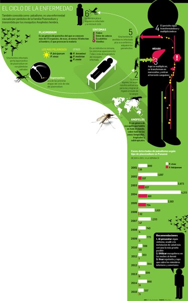 Malaria ‘falciparum’, al acecho; hay ocho casos