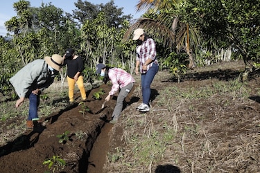 Las OBC: guardianas del ambiente desde las comunidades
