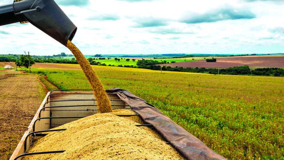 Brasil confía en mantener sus exportaciones de soja a China