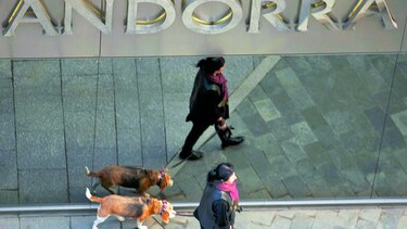 Paseador de perros, una buena opción