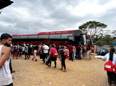 Panamá registra el ingreso de casi 100 mil migrantes irregulares por la selva de Darién en 2024