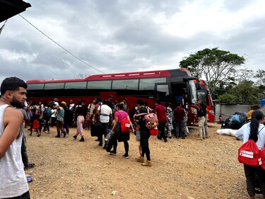 Panamá registra el ingreso de casi 100 mil migrantes irregulares por la selva de Darién en 2024