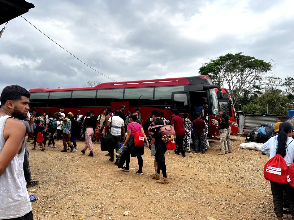 Panamá registra el ingreso de casi 100 mil migrantes irregulares por la selva de Darién en 2024