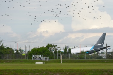 Un avión de carga de Amazon se estrella en el aeropuerto de Miami