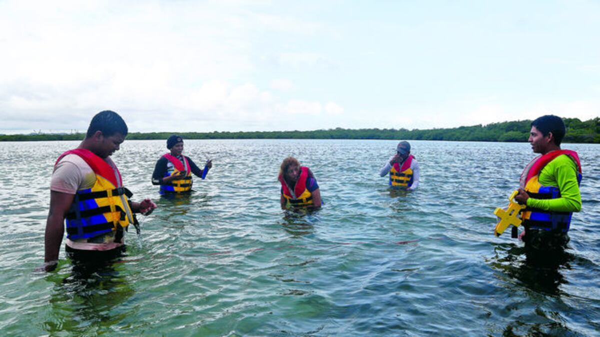 Los estudiantes miden la temperatura del agua, humedad y temperatura del aire, corrientes, viento y una muestra de agua.