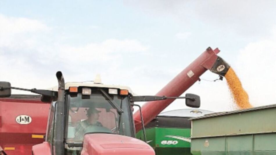 China comienza construcción de puerto para enviar granos