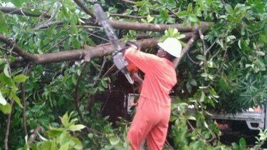 Árboles caídos tras fuertes lluvias en Colón