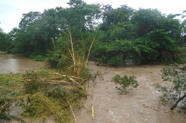 Productores pierden cultivos y reses tras crecida de ríos en Macaracas