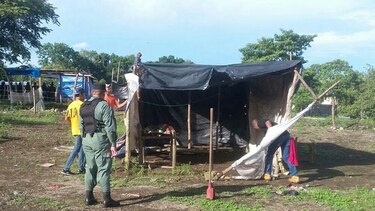 Chiriquí: Corregiduría desaloja a 250 precaristas de tierras privadas