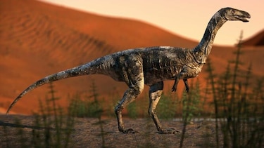 Descubren nueva especie de dinosaurio en el sur de Brasil