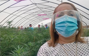 Cannabis, el viaje secreto de cinco funcionarios a Estados Unidos