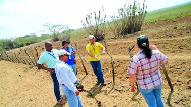 Se agrava situación de la ciénaga Las Macanas