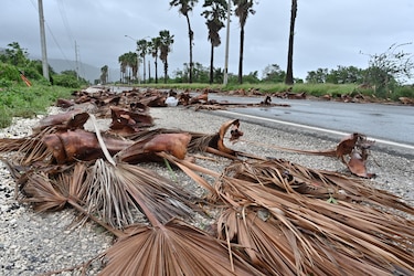 Primer ministro de Jamaica declara el país como ‘zona catastrófica’