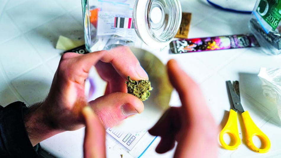 Venta de marihuana en farmacias