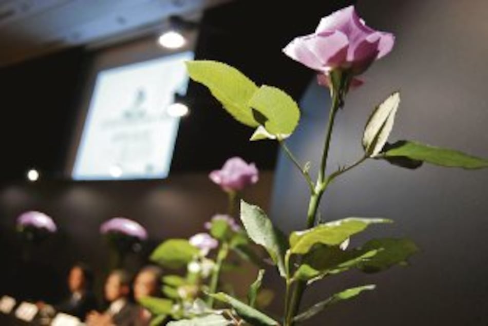 La primera rosa azul