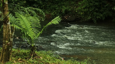 Hoy por hoy: Río Indio: gestión que marca el estándar