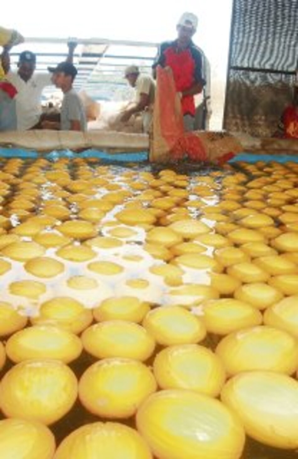 Apex: política exportadora falló