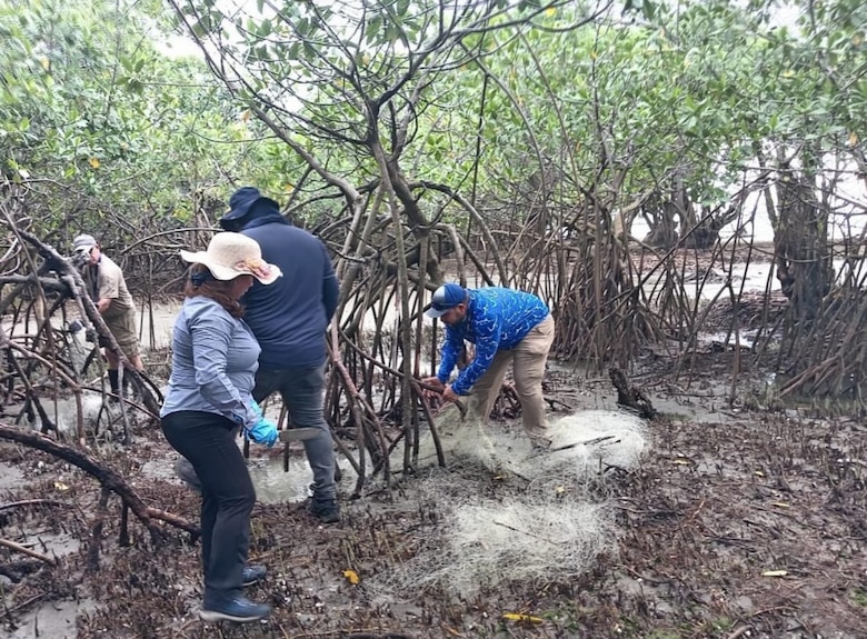 Retiran redes fantasmas de manglares en Coclé
