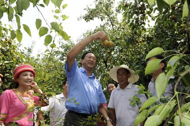 CEPAL destaca rol creciente de China y países emergentes en economía mundial