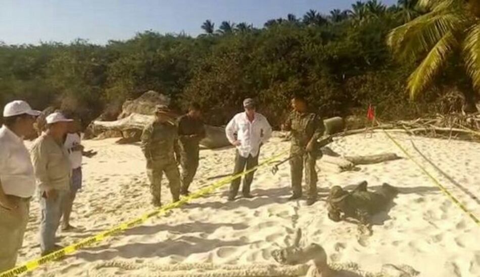 Expertos del Consejo de Seguridad hallan otra bomba en isla Iguana
