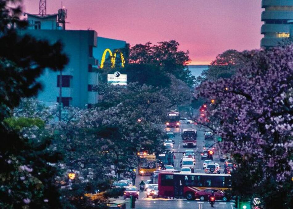 Costa Rica intenta ‘descarbonizar’ su economía