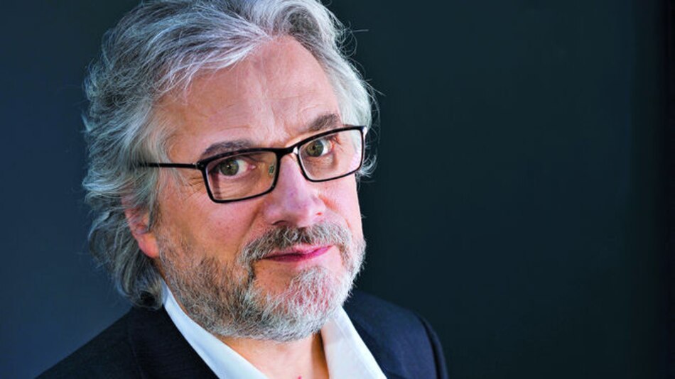 La armonía de una tortuga