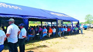 Cartera agropecuaria en Chiriquí crece 11.13%