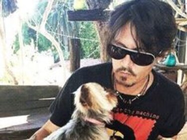 Johnny Depp abandona Australia para que sus perros no sean sacrificados