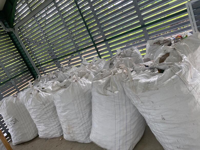 Wanda Díaz recolectó 2 mil 500 libras de plástico en cinco días