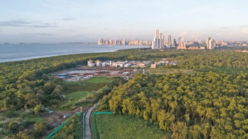 Licitación para plan de manejo de humedal queda desierta