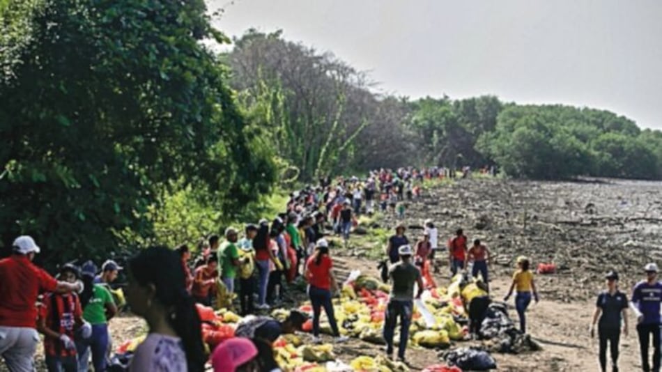 ‘Alarma’ tras jornada de limpieza de playas