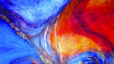 Artista de varios matices