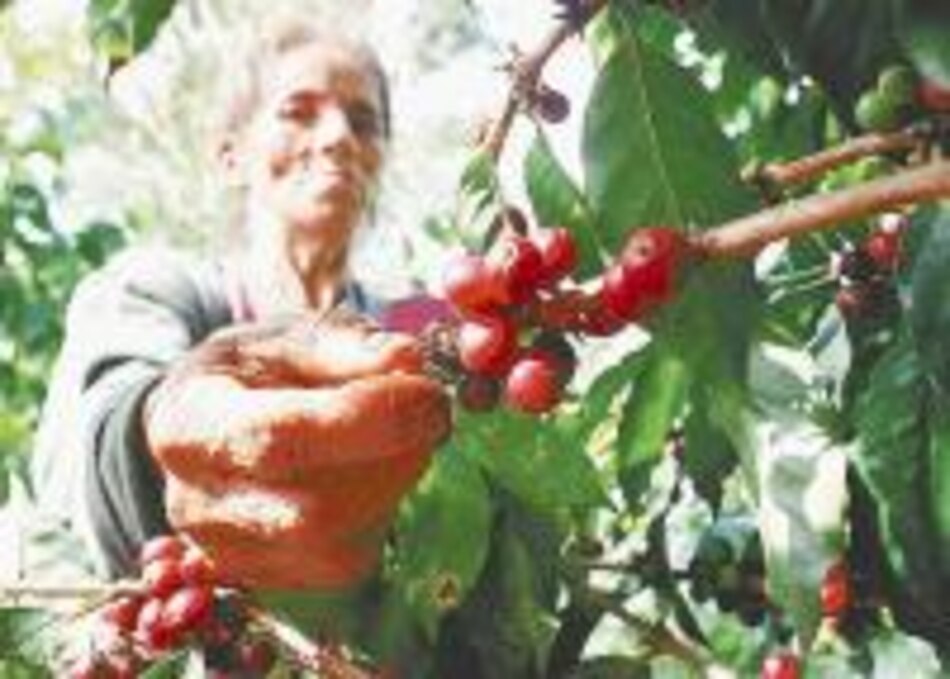 Temor a aranceles variables