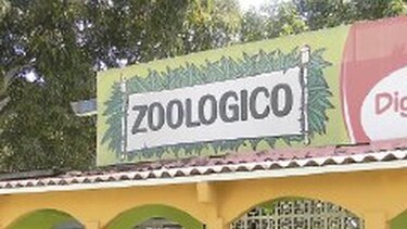 Cientos ya visitan zoológico de la feria