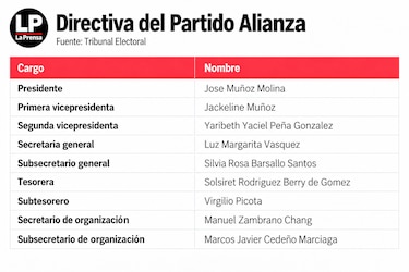 Vicepresidentes y subsecretarios de partidos políticos quedarían sin fuero penal electoral