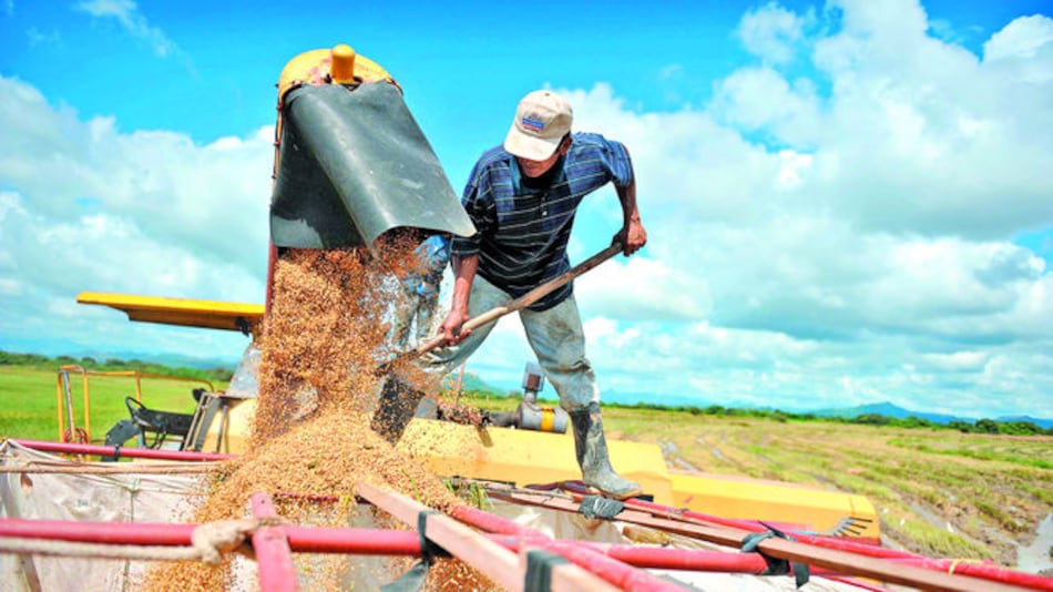 Productores cuestionan exceso de importaciones