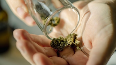 El gobierno de Trump reclasifica la marihuana medicinal como una droga menos peligrosa