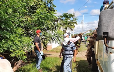 Jornada de limpieza en Tablas Abajo por alta incidencia de casos de dengue
