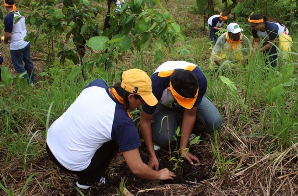 Viveros, apuesta ante la sequía