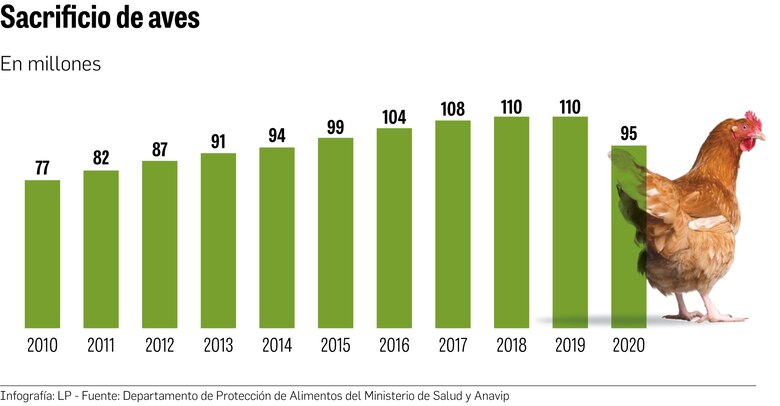 Disminuye consumo de pollo